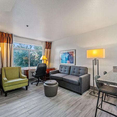 Chandler 1 Bd 1 Ba Fully Renovated Premium Lux Apartment Pets Allowed Esterno foto