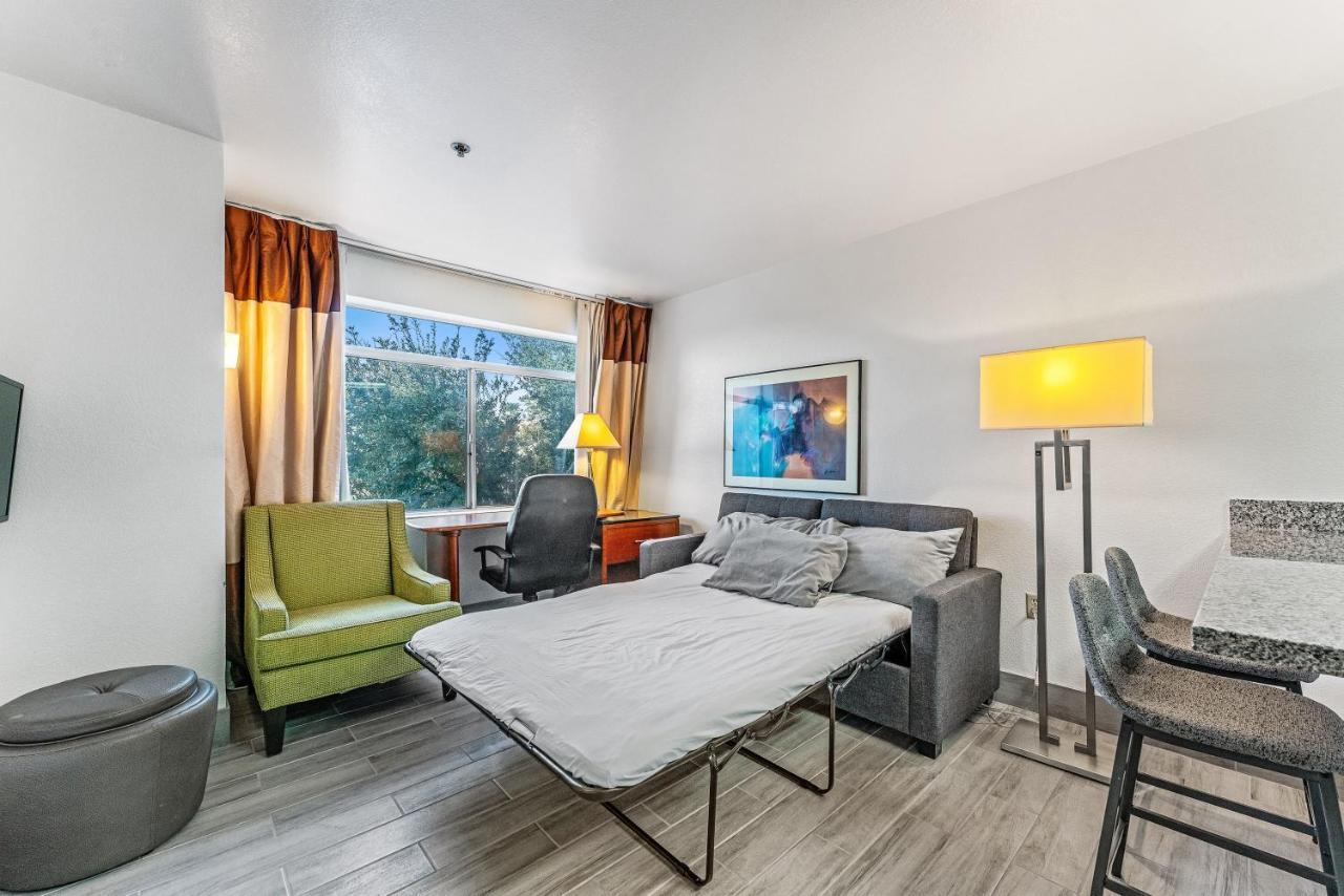 Chandler 1 Bd 1 Ba Fully Renovated Premium Lux Apartment Pets Allowed Esterno foto